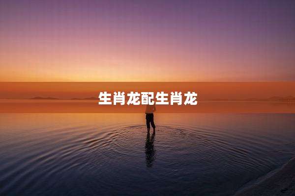 生肖龙配生肖龙