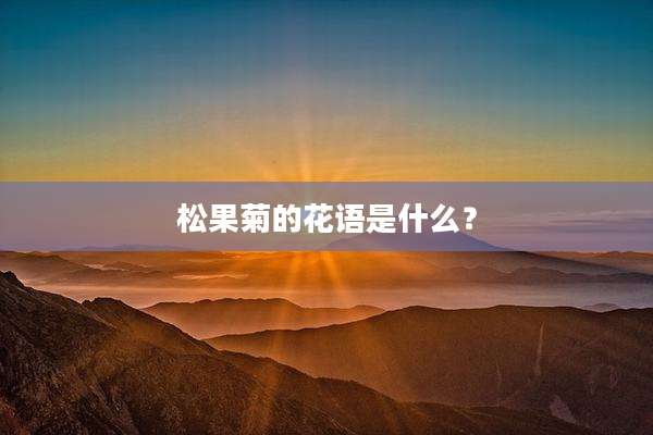 松果菊的花语是什么？