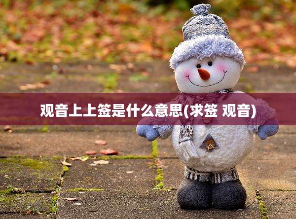 观音上上签是什么意思(求签 观音)