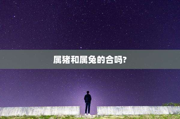 属猪和属兔的合吗?