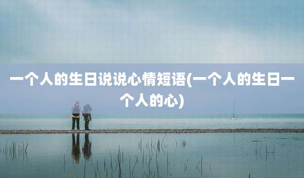 一个人的生日说说心情短语(一个人的生日一个人的心)