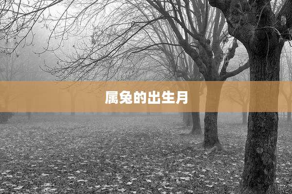 属兔的出生月