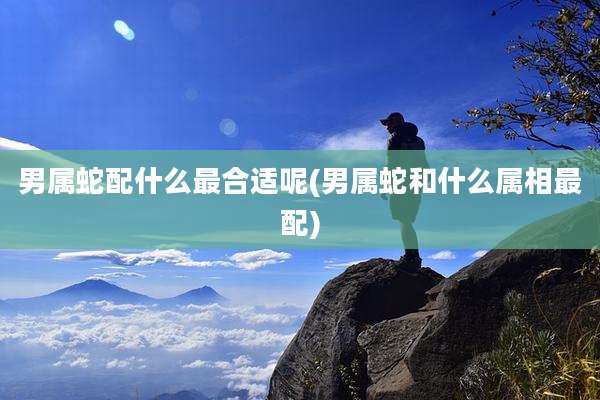 男属蛇配什么最合适呢(男属蛇和什么属相最配)