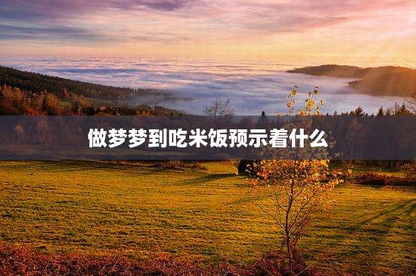 做梦梦到吃米饭预示着什么