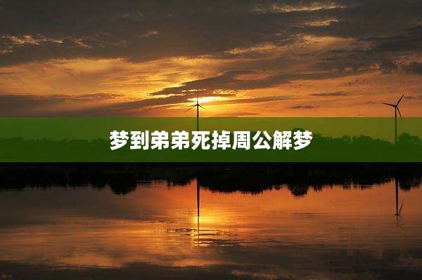 梦到弟弟死掉周公解梦