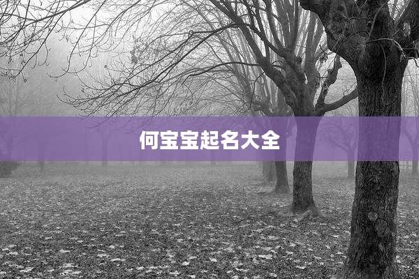 何宝宝起名大全