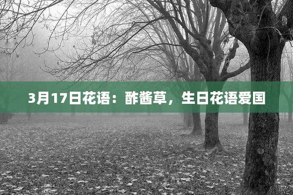 3月17日花语:酢酱草,生日花语爱国