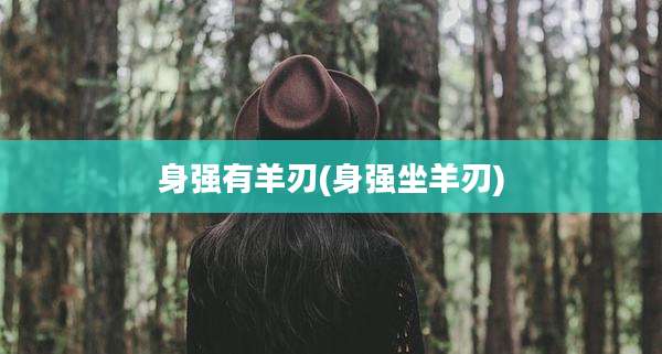 身强有羊刃(身强坐羊刃)
