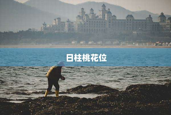 日柱桃花位