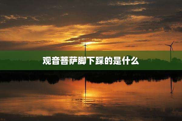观音菩萨脚下踩的是什么