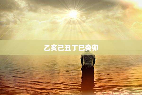 乙亥己丑丁巳癸卯