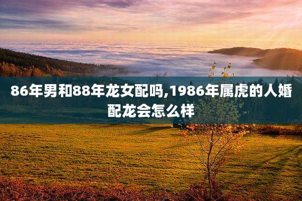 86年男和88年龙女配吗,1986年属虎的人婚配龙会怎么样
