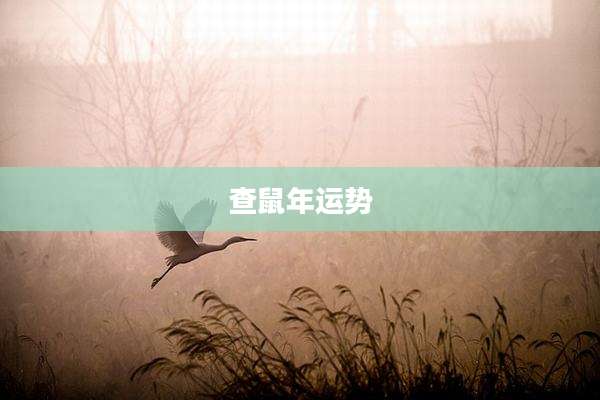 查鼠年运势