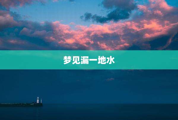 梦见漏一地水