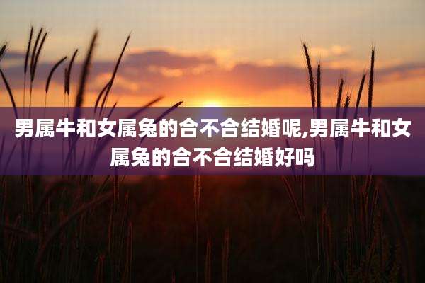 男属牛和女属兔的合不合结婚呢,男属牛和女属兔的合不合结婚好吗