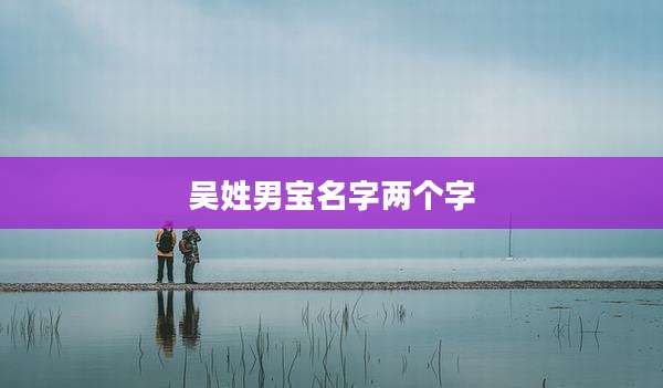 吴姓男宝名字两个字