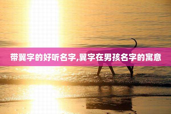 带翼字的好听名字,翼字在男孩名字的寓意
