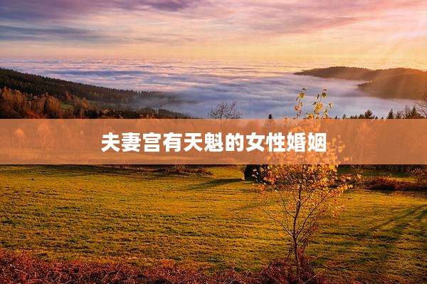 夫妻宫有天魁的女性婚姻