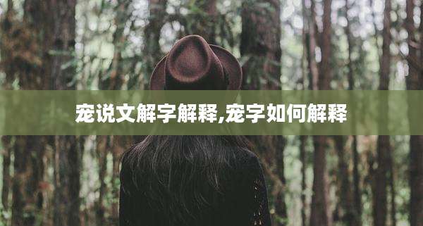 宠说文解字解释,宠字如何解释