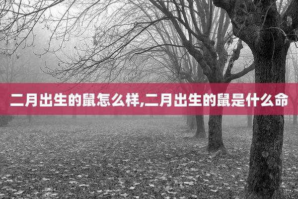 二月出生的鼠怎么样,二月出生的鼠是什么命