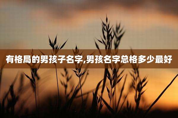 有格局的男孩子名字,男孩名字总格多少最好