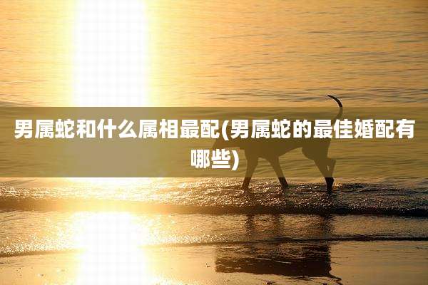 男属蛇和什么属相最配(男属蛇的最佳婚配有哪些)