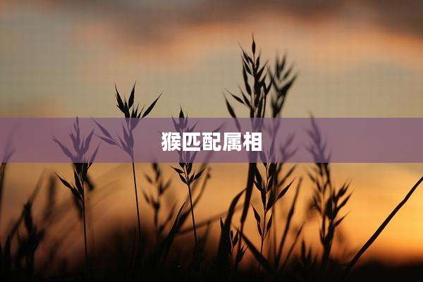 猴匹配属相