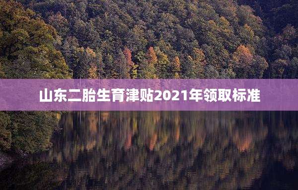 山东二胎生育津贴2021年领取标准
