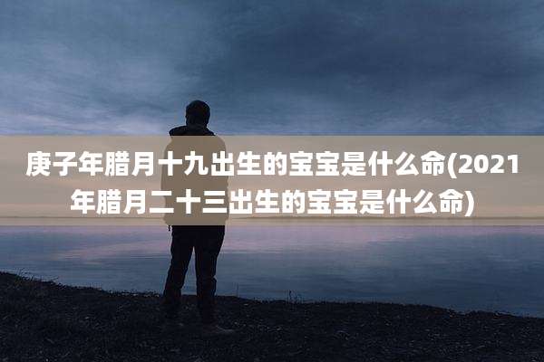 庚子年腊月十九出生的宝宝是什么命(2021年腊月二十三出生的宝宝是什么命)