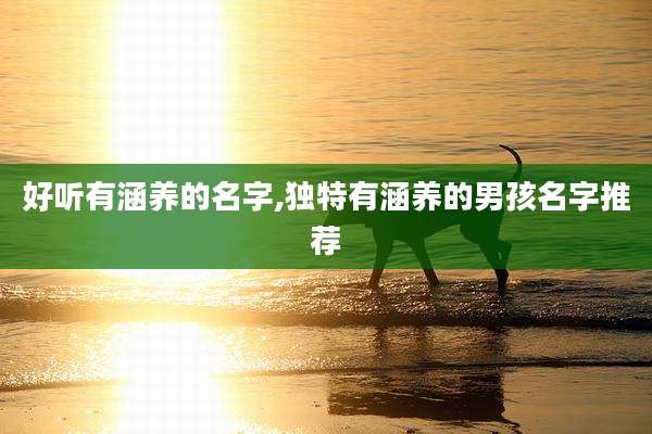 好听有涵养的名字,独特有涵养的男孩名字推荐