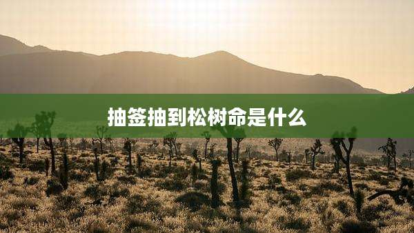 抽签抽到松树命是什么