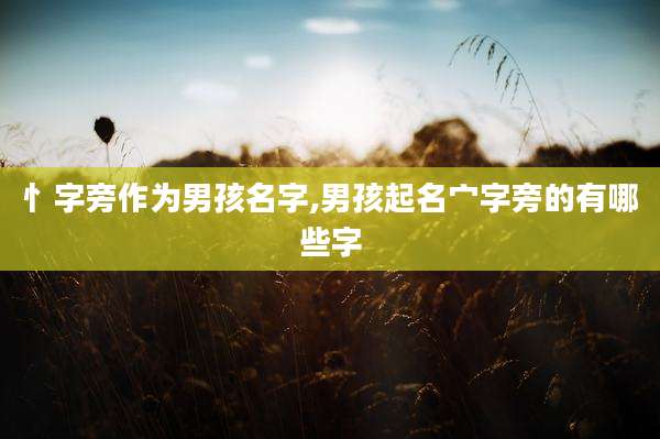 忄字旁作为男孩名字,男孩起名宀字旁的有哪些字