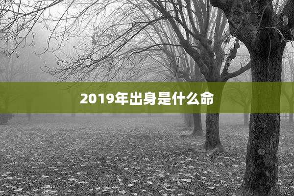 2019年出身是什么命