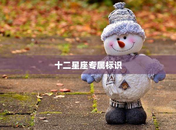 十二星座专属标识