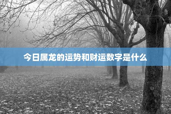 今日属龙的运势和财运数字是什么