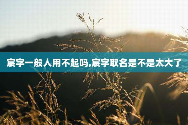 宸字一般人用不起吗,宸字取名是不是太大了