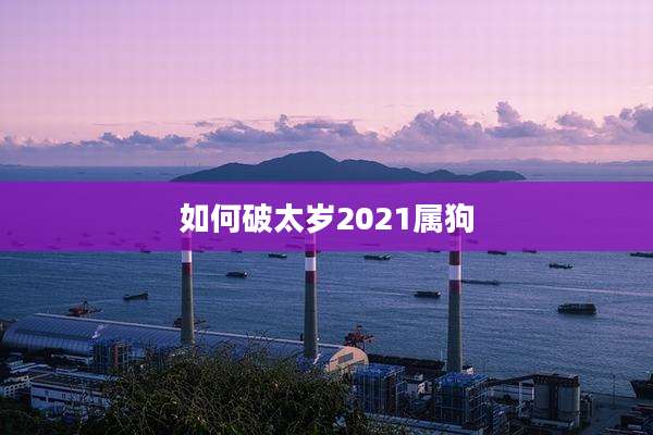 如何破太岁2021属狗