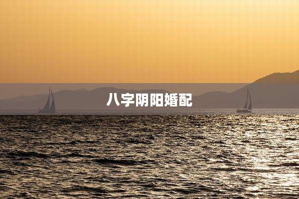 八字阴阳婚配