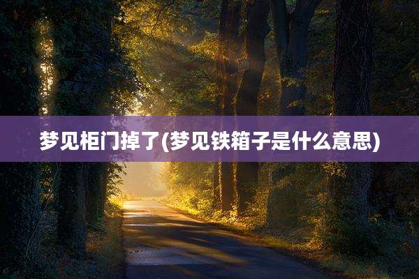 梦见柜门掉了(梦见铁箱子是什么意思)