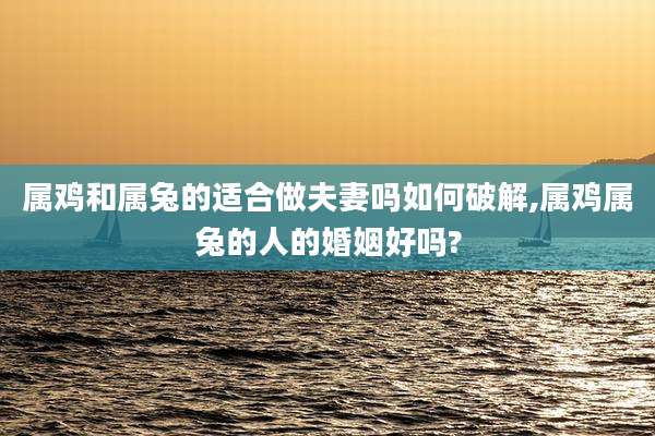 属鸡和属兔的适合做夫妻吗如何破解,属鸡属兔的人的婚姻好吗?