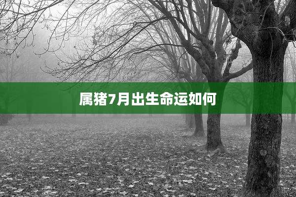 属猪7月出生命运如何