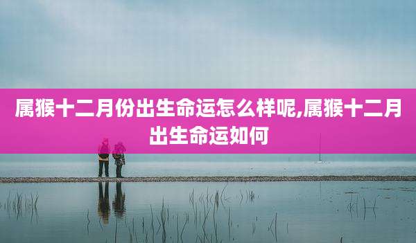 属猴十二月份出生命运怎么样呢,属猴十二月出生命运如何