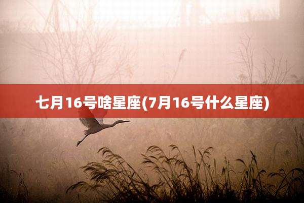 七月16号啥星座(7月16号什么星座)