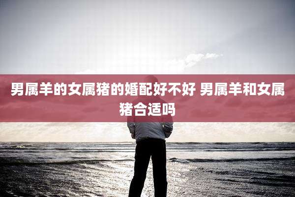 男属羊的女属猪的婚配好不好 男属羊和女属猪合适吗