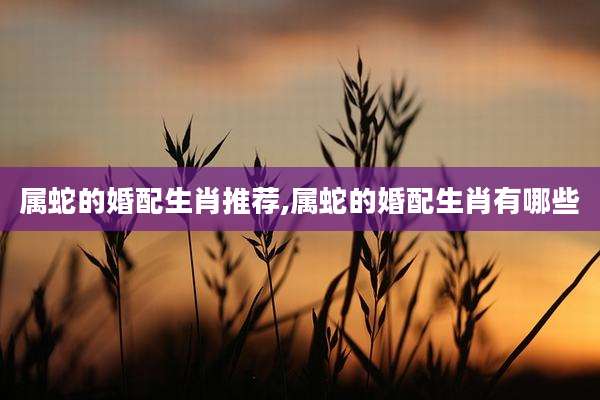 属蛇的婚配生肖推荐,属蛇的婚配生肖有哪些