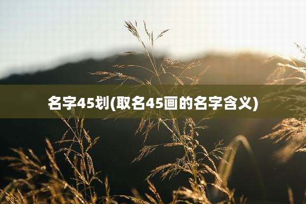 名字45划(取名45画的名字含义)