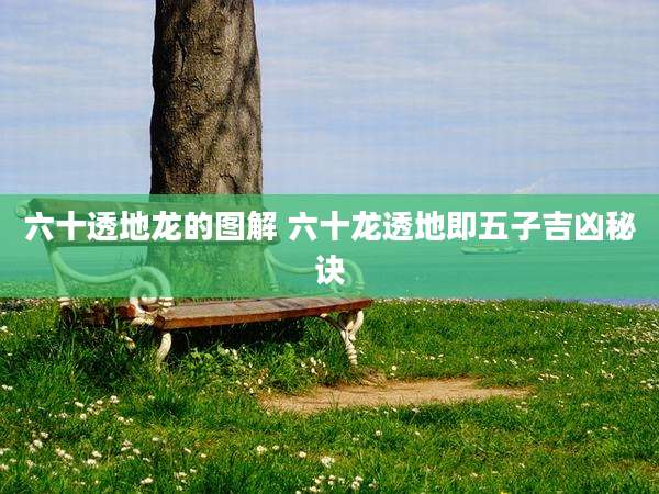 六十透地龙的图解 六十龙透地即五子吉凶秘诀