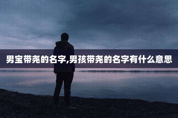 男宝带尧的名字,男孩带尧的名字有什么意思