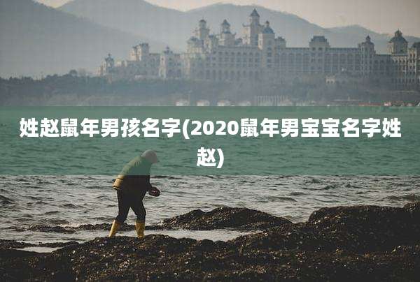 姓赵鼠年男孩名字(2020鼠年男宝宝名字姓赵)