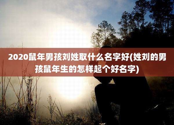 2020鼠年男孩刘姓取什么名字好(姓刘的男孩鼠年生的怎样起个好名字)